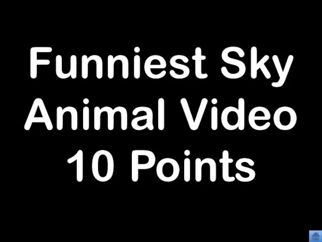 Funniest Sky Animal Video 10 Points