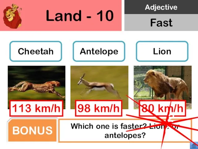 Land - 10 Cheetah Antelope Lion Which one is faster? Lions