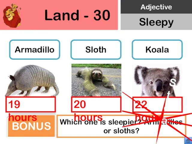 Land - 30 Armadillo Sloth Koala Which one is sleepier? Armadillos
