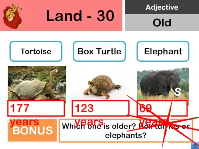 Land - 30 Tortoise Box Turtle Elephant Which one is older?