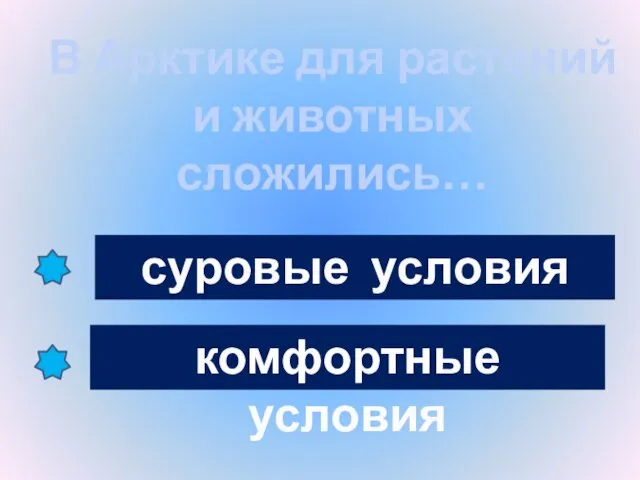 В Арктике для растений и животных сложились… суровые условия комфортные условия