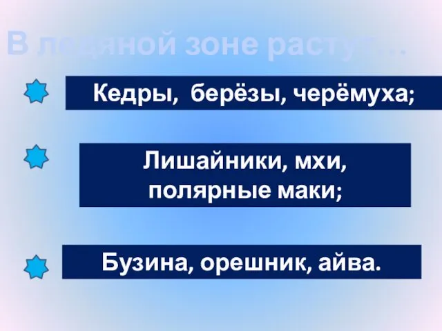 В ледяной зоне растут… Кедры, берёзы, черёмуха; Лишайники, мхи, полярные маки; Бузина, орешник, айва.