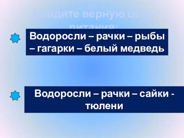 Найдите верную цепь питания: Водоросли – рачки – рыбы – гагарки