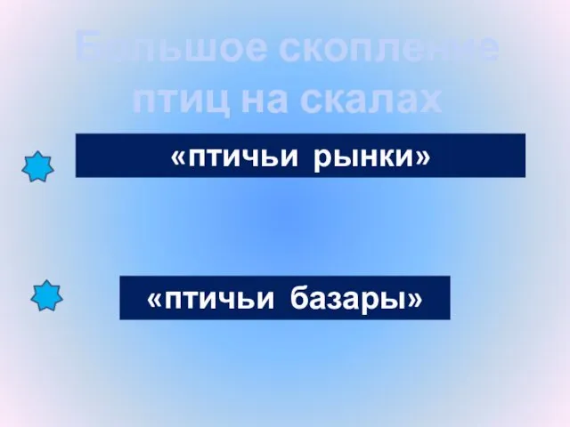 Большое скопление птиц на скалах называют… «птичьи рынки» «птичьи базары»