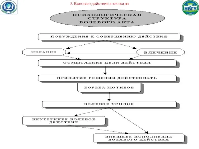 2. Волевые действия и качества