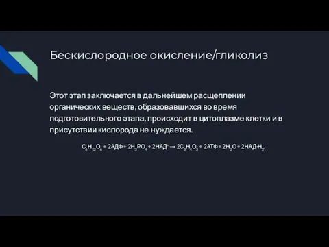 Бескислородное окисление/гликолиз Этот этап заключается в дальнейшем расщеплении органических веществ, образовавшихся