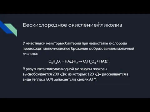 Бескислородное окисление/гликолиз У животных и некоторых бактерий при недостатке кислорода происходит