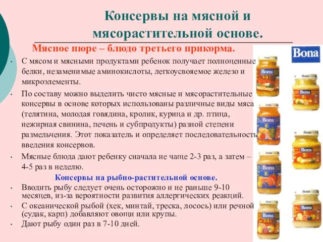 Консервы на мясной и мясорастительной основе. Мясное пюре – блюдо третьего