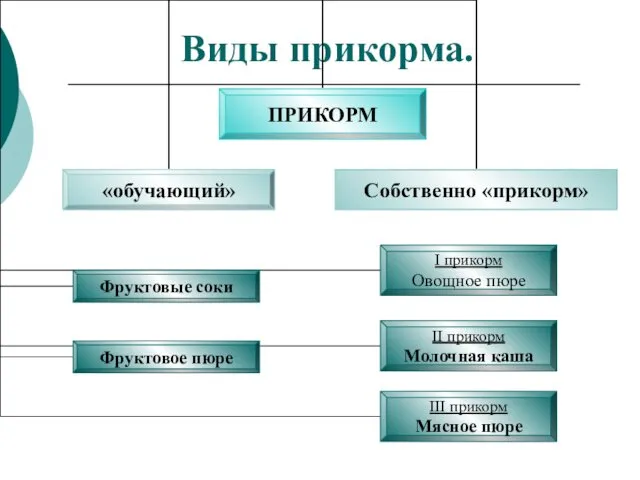 Виды прикорма.