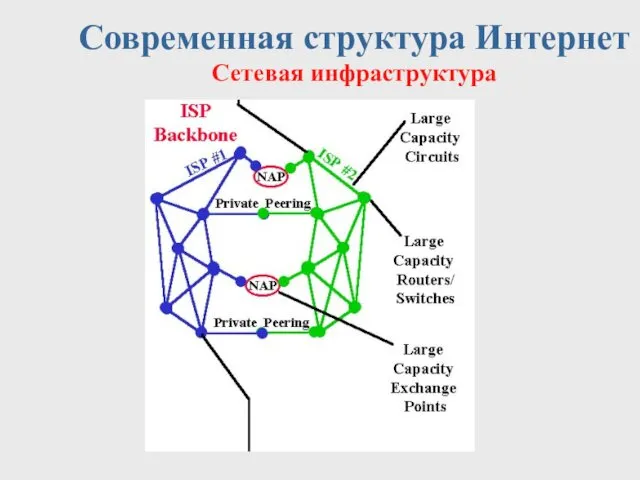 Современная структура Интернет Сетевая инфраструктура