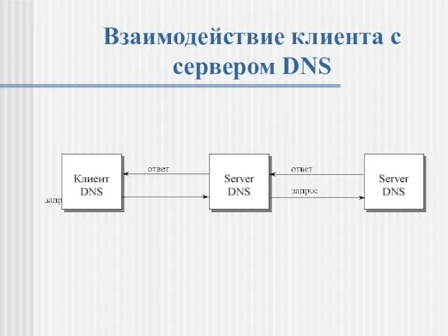 Взаимодействие клиента с сервером DNS