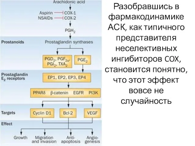 Разобравшись в фармакодинамике АСК, как типичного представителя неселективных ингибиторов COX, становится