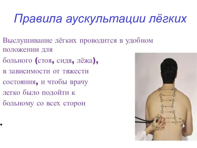 Правила аускультации лёгких Выслушивание лёгких проводится в удобном положении для больного