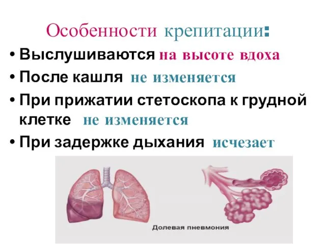 Особенности крепитации: Выслушиваются на высоте вдоха После кашля не изменяется При