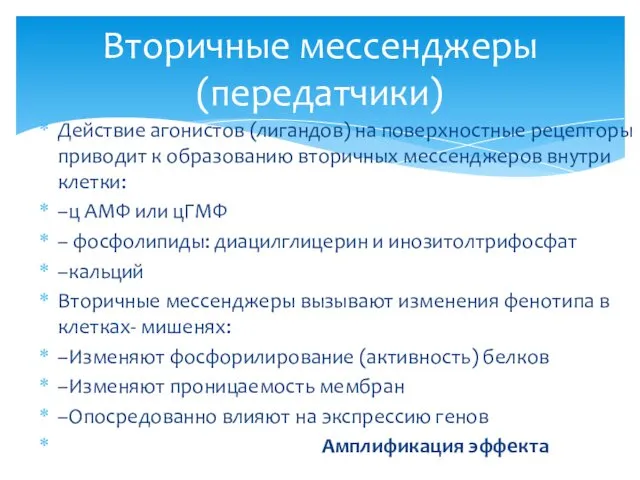 Действие агонистов (лигандов) на поверхностные рецепторы приводит к образованию вторичных мессенджеров