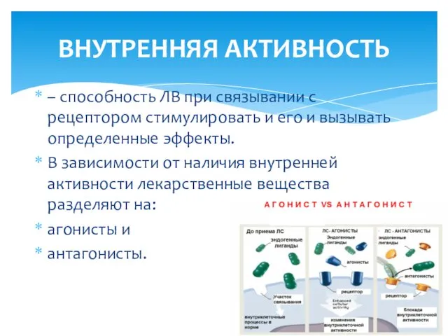 – способность ЛВ при связывании с рецептором стимулировать и его и