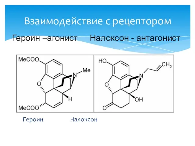 Героин Налоксон Взаимодействие с рецептором Героин –агонист Налоксон - антагонист