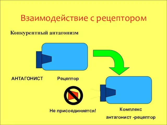 Взаимодействие с рецептором АНТАГОНИСТ Рецептор Комплекс антагонист -рецептор Не присоединяется! Конкурентный антагонизм