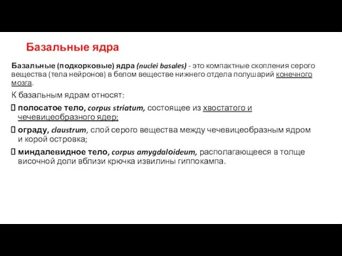 Базальные ядра Базальные (подкорковые) ядра (nuclei basales) - это компактные скопления