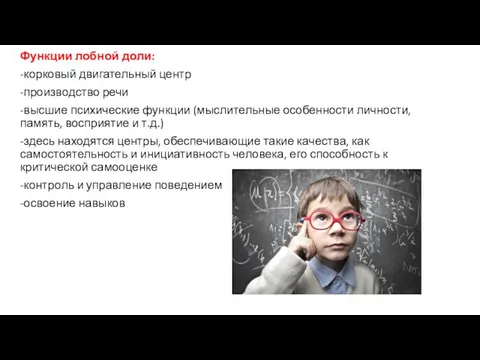 Функции лобной доли: -корковый двигательный центр -производство речи -высшие психические функции