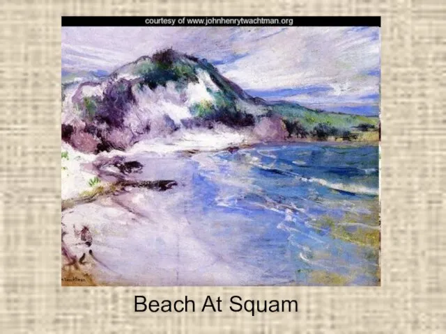 Beach At Squam