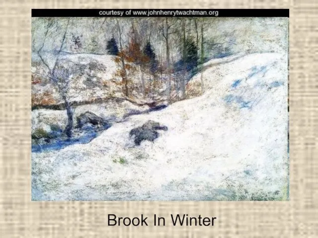 Brook In Winter