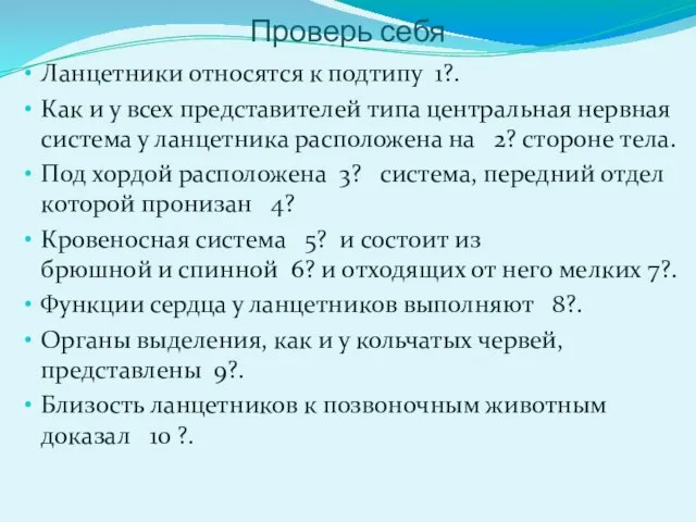 Проверь себя Ланцетники относятся к подтипу 1?. Как и у всех