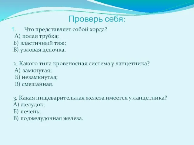 Проверь себя: Что представляет собой хорда? А) полая трубка; Б) эластичный