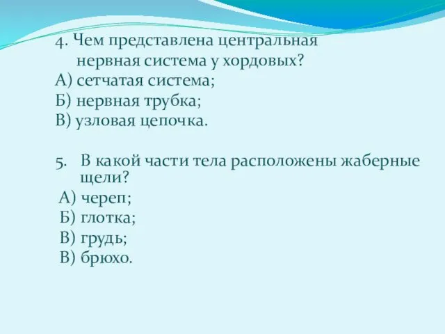 4. Чем представлена центральная нервная система у хордовых? А) сетчатая система;