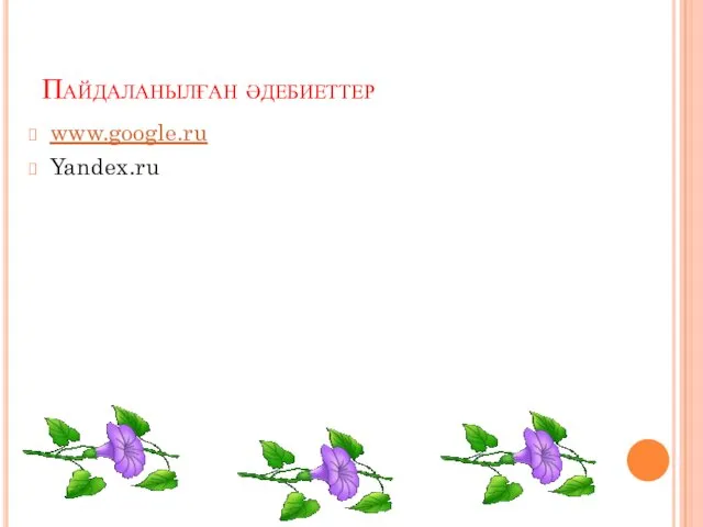 Пайдаланылған әдебиеттер www.google.ru Yandex.ru