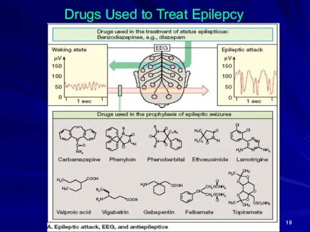 Drugs Used to Treat Epilepcy
