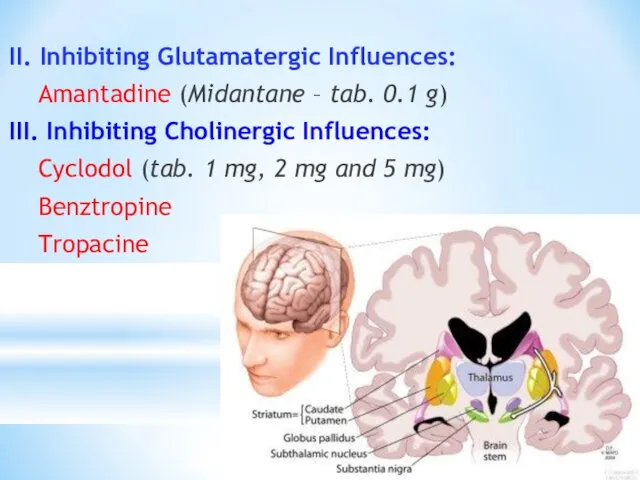 II. Inhibiting Glutamatergic Influences: Amantadine (Midantane – tab. 0.1 g) III.