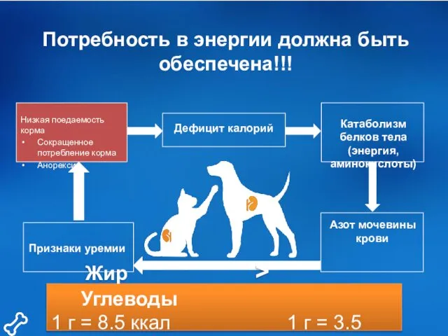 Потребность в энергии должна быть обеспечена!!! Низкая поедаемость корма Сокращенное потребление