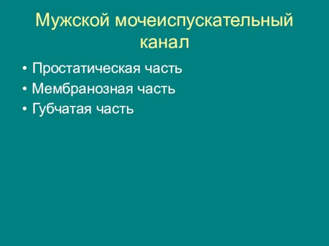 Мужской мочеиспускательный канал Простатическая часть Мембранозная часть Губчатая часть