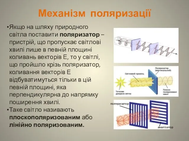 Механізм поляризації аналізатор поляризатор Якщо на шляху природного світла поставити поляризатор