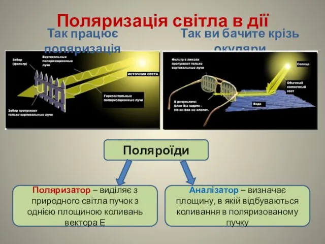 Поляризація світла в дії Так працює поляризація Так ви бачите крізь