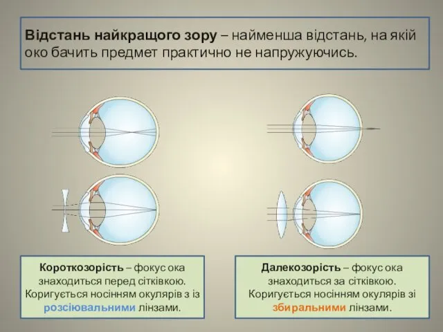 Відстань найкращого зору – найменша відстань, на якій око бачить предмет