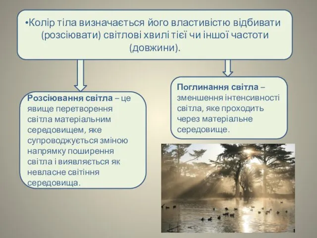 Колір тіла визначається його властивістю відбивати (розсіювати) світлові хвилі тієї чи