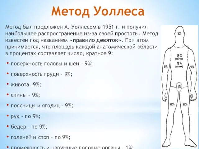 Метод Уоллеса Метод был предложен А. Уоллесом в 1951 г. и