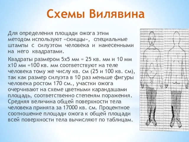 Схемы Вилявина Для определения площади ожога этим методом используют «скиццы», специальные