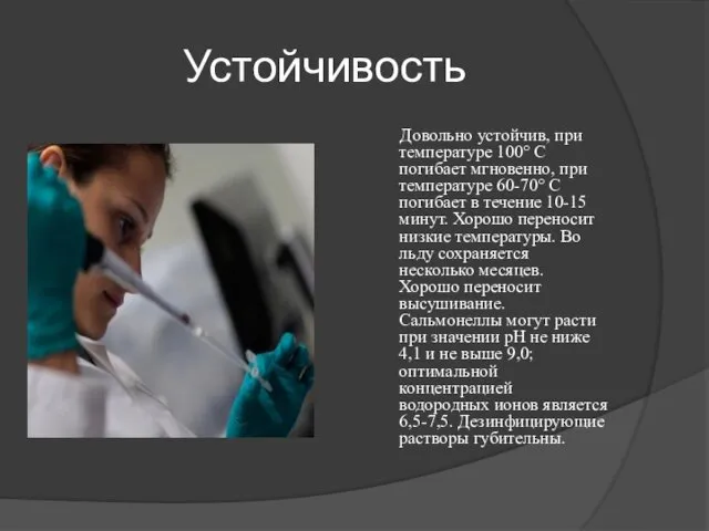 Устойчивость Довольно устойчив, при температуре 100° С погибает мгновенно, при температуре