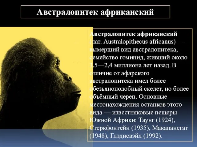 Австралопитек африканский Австралопитек африканский (лат. Australopithecus africanus) — вымерший вид австралопитека,