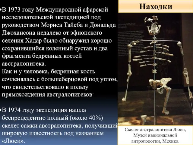 Находки В 1973 году Международной афарской исследовательской экспедицией под руководством Мориса