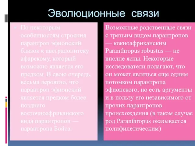 Эволюционные связи По некоторым особенностям строения парантроп эфиопский близок к австралопитеку