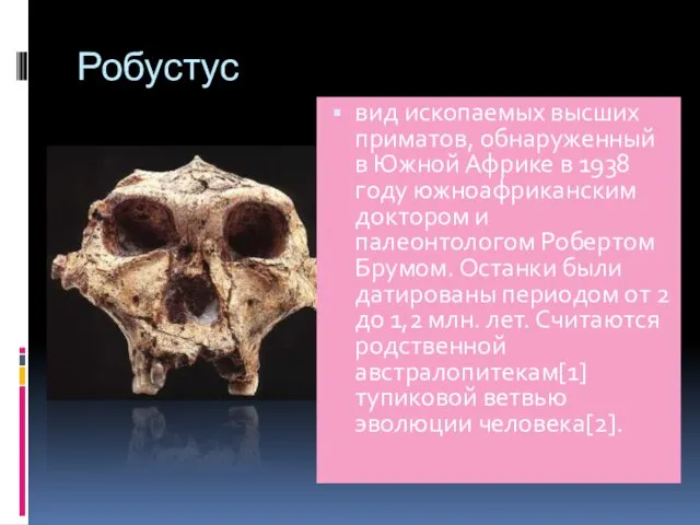 Робустус вид ископаемых высших приматов, обнаруженный в Южной Африке в 1938