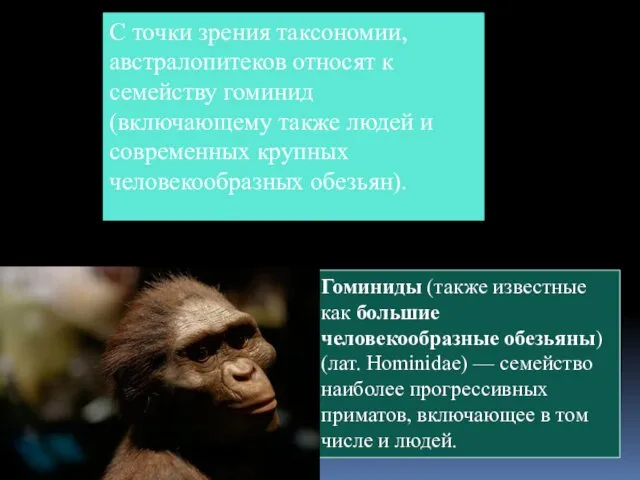 С точки зрения таксономии, австралопитеков относят к семейству гоминид (включающему также