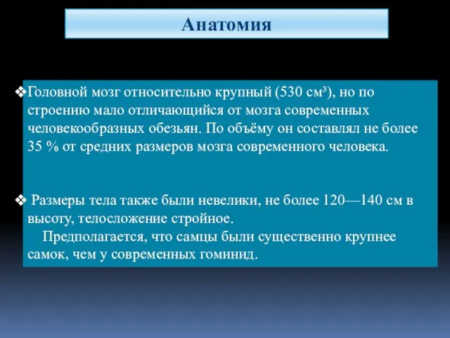 Головной мозг относительно крупный (530 см³), но по строению мало отличающийся