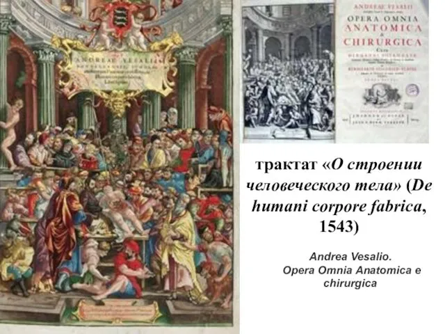 Andrea Vesalio. Opera Omnia Anatomica e chirurgica трактат «О строении человеческого