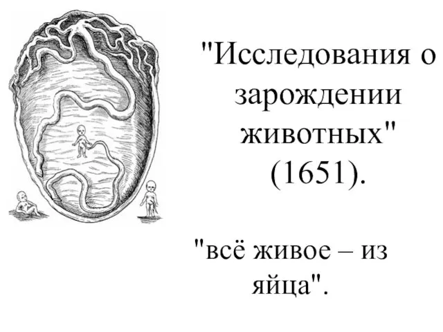 "Исследования о зарождении животных" (1651). "всё живое – из яйца".