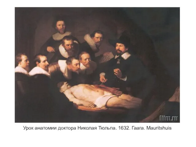 Урок анатомии доктора Николая Тюльпа. 1632. Гаага. Mauritshuis